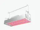 LED Grow Light